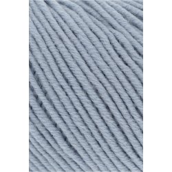 Merino 120 - Silver Grey (123)