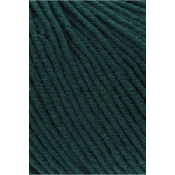 Merino 120 - Fir (217)