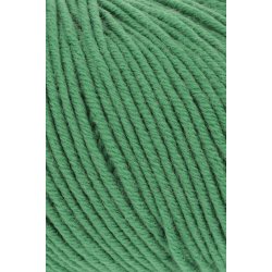 Merino 120 - Kiwi (316)