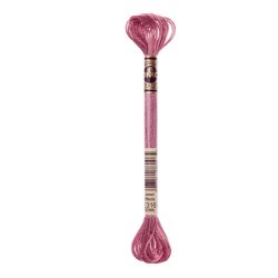 DMC Moulin Effekt Floss - 317W Serien