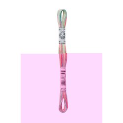 DMC Moulin Color Variations Floss - 417F Serien