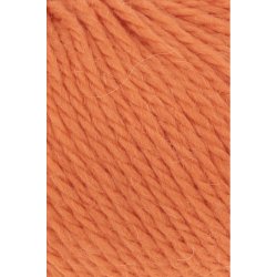 Carpe Diem - Pumpkin (4215)