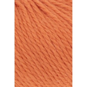 Carpe Diem - Pumpkin (4215)