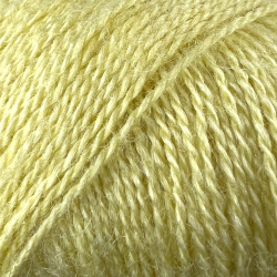 Leonora lysegul (401)