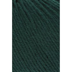Merino 200 BEBE - Fir (318)